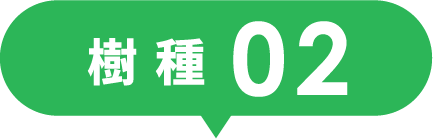 樹種02