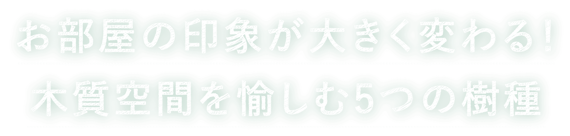 お部屋の印象が大きく変わる！木質空間を愉しむ5つの樹種