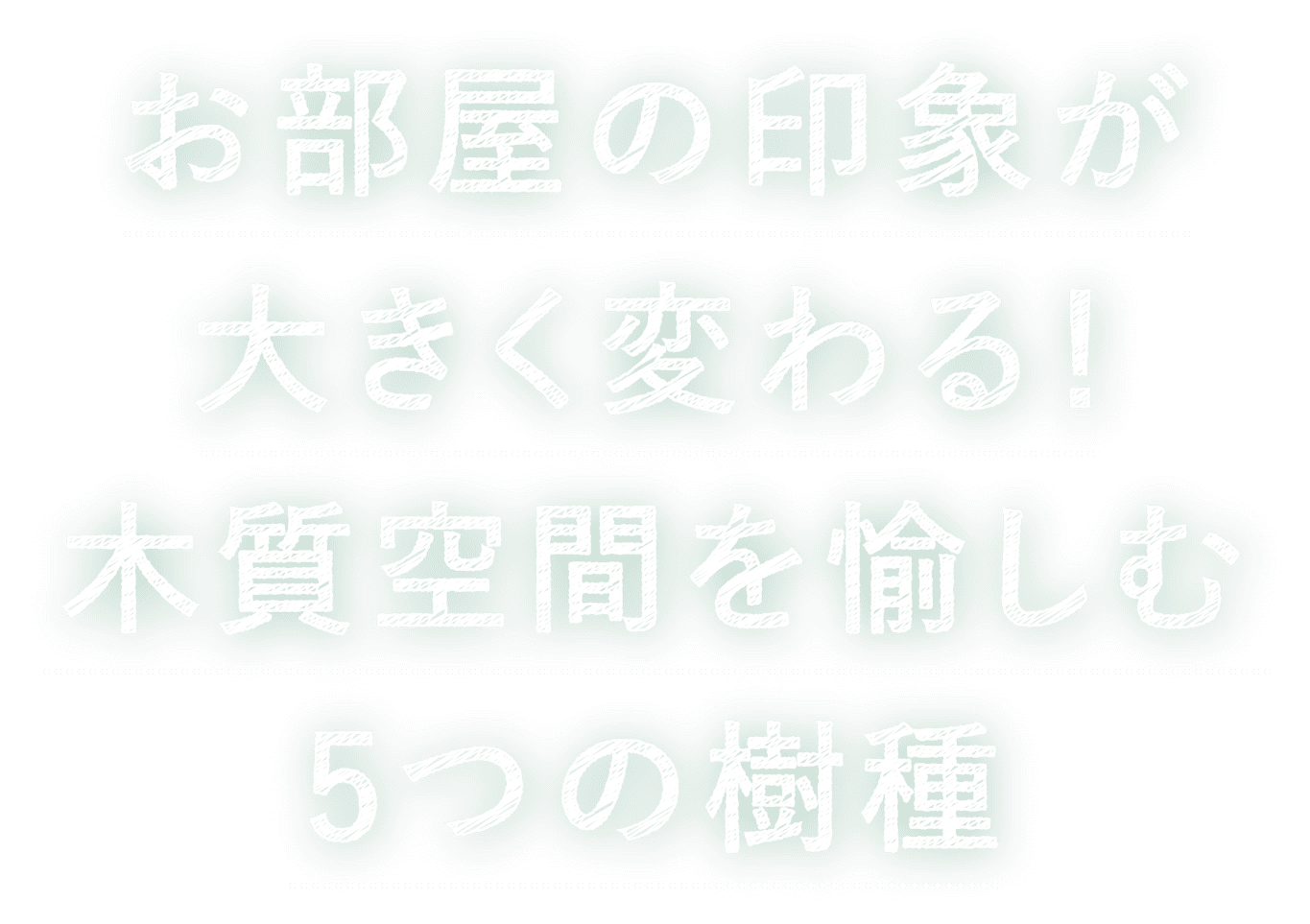 お部屋の印象が大きく変わる！木質空間を愉しむ5つの樹種