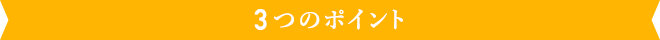 3つのポイント