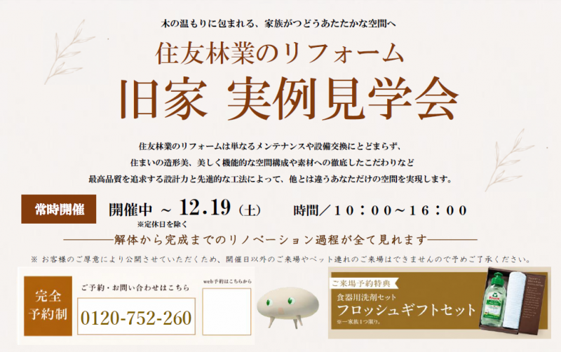 kumamoto02.png