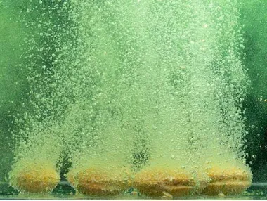 おすすめお風呂グッズ・入浴剤の選び方