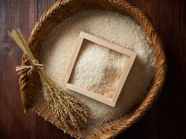 おいしいお米を選ぶための4つのポイントを紹介します。