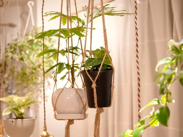 【ペットの種類別】ペットNGな植物・アロマ