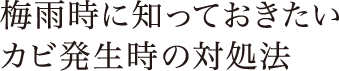 梅雨時に知っておきたいカビ発生時の対処法