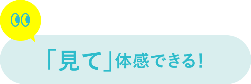 「見て」体感できる！