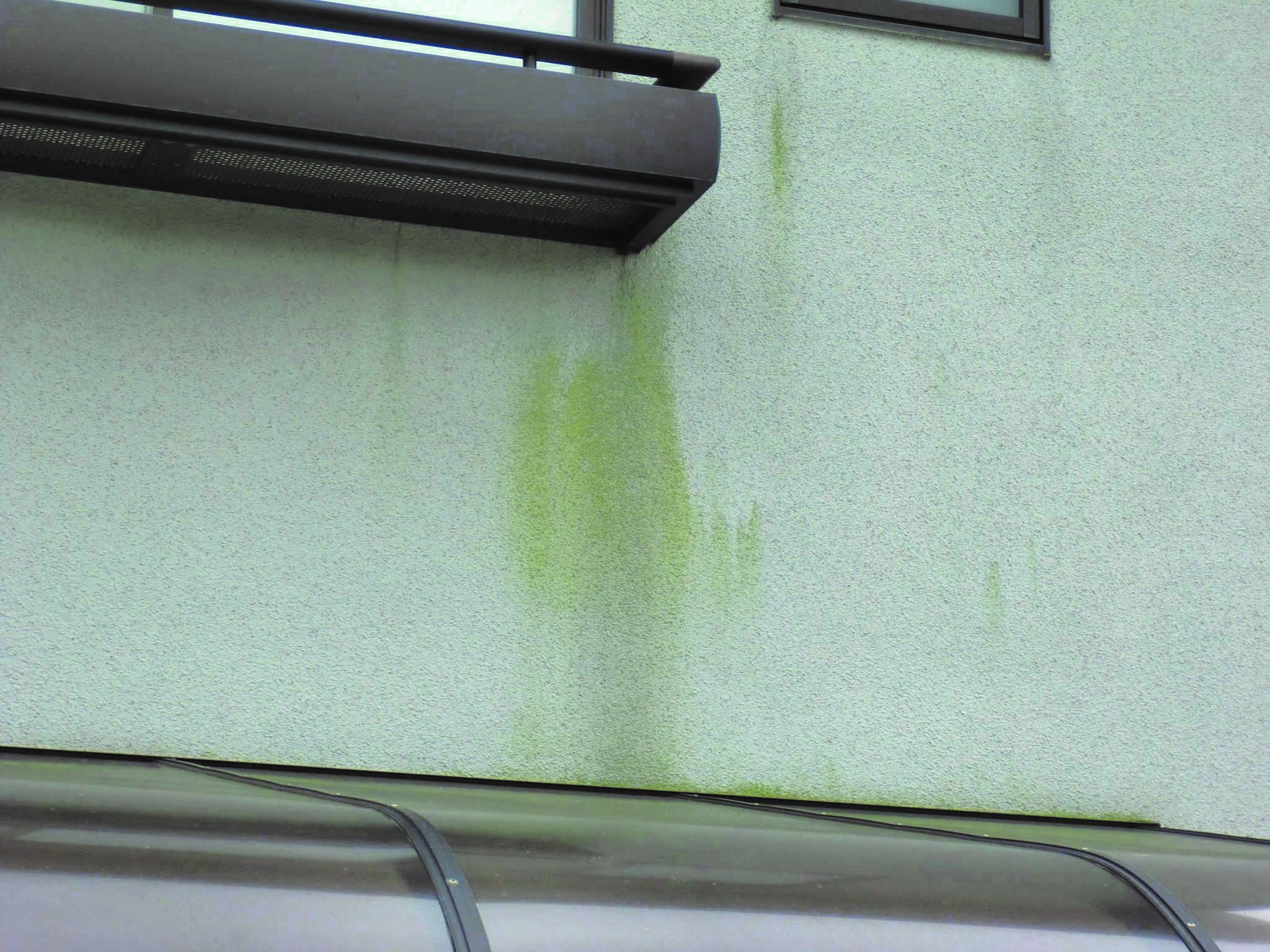 木造戸建て築10年目からの住まいのメンテナンス 今の住宅に長く住み続けるために 暮らしのこれから