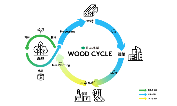 住友林業の木を軸としたバリューチェーン、「ウッドサイクル」の図。 建築物のエネルギーへの変換、エネルギーを利用して植林・育林した後に伐採した木材を加工し、再び建築物として炭素を長期間固定します。これらのCO2の排出・吸収、炭素の固定のサイクルを循環させて、脱炭素社会に貢献します。