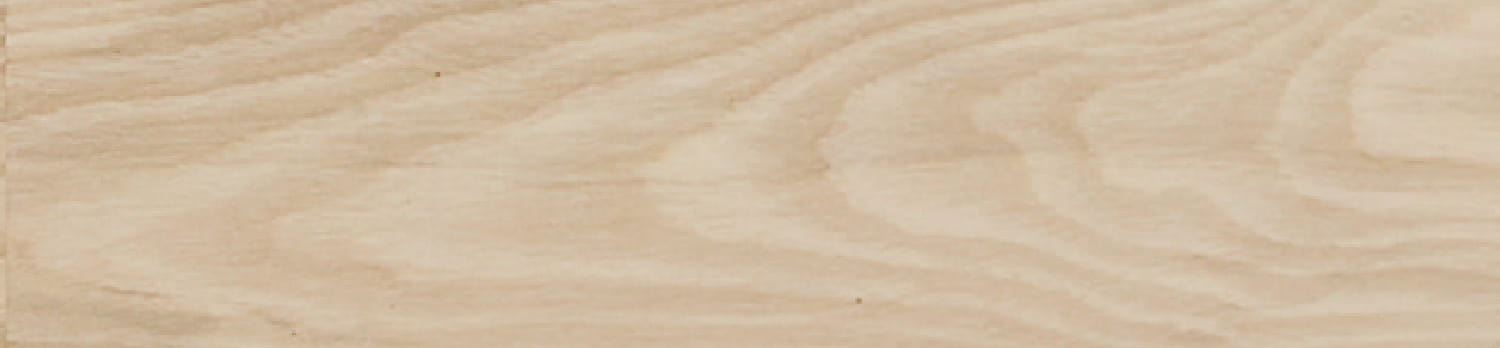 ASH STYLEイメージ