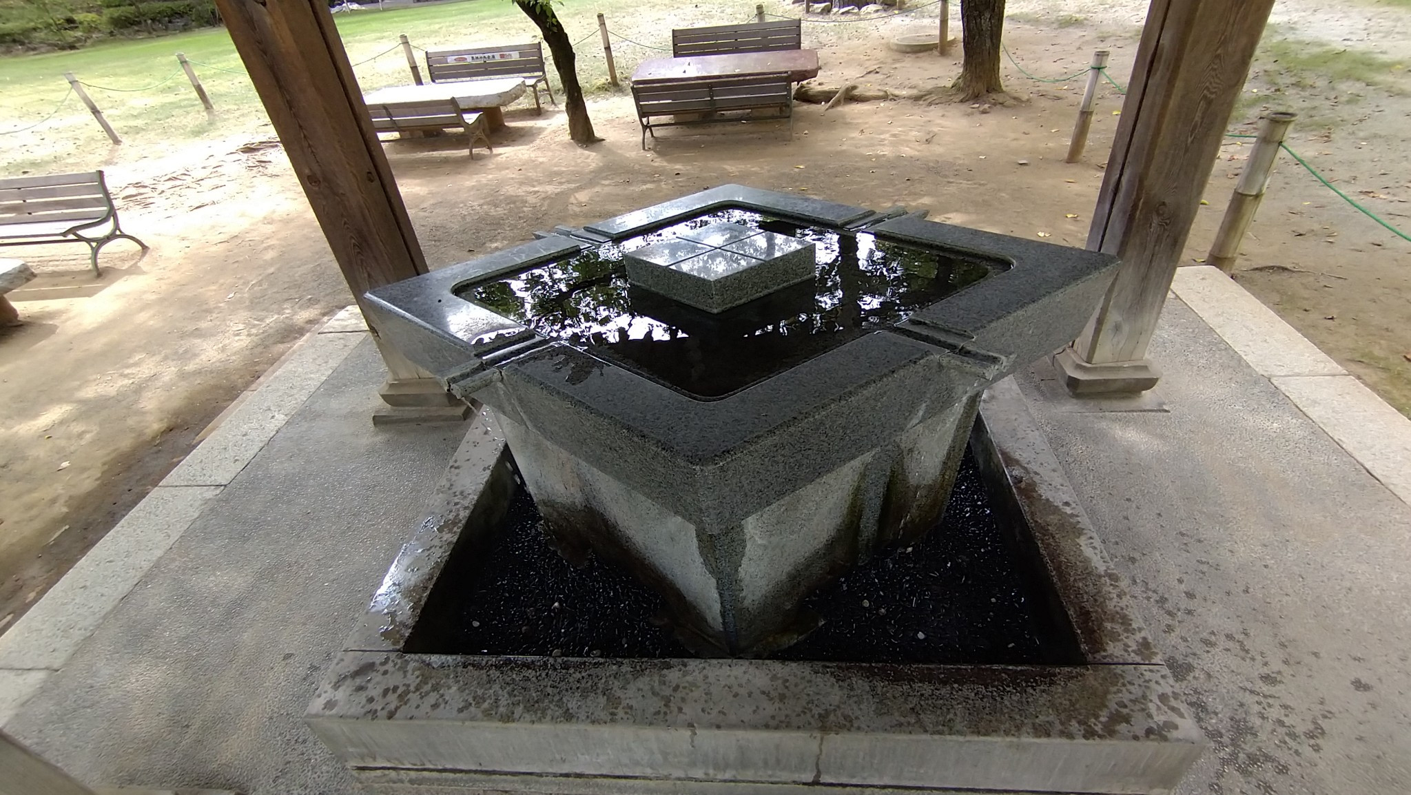 DSC_1617.jpg