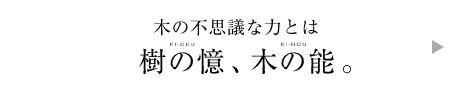 木の不思議な力とは|樹の憶、木の能。